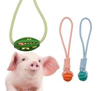 MiDube Juego de 3 juguetes para cerdos: pelota de trabajo con golosinas y masticar de goma, juego colgante con cuerda contra el aburrimiento (verde, azul, naranja)