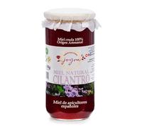 Miel Cruda, 100% MIel Pura de Abeja. 16 Variedades - Selección Especial, Producción Limitada APICULTURA ESPAÑOLA. Natural Sin Pasteurizar, Conservan Enzimas y Antioxidantes. (1 KG, Miel de Cilantro)