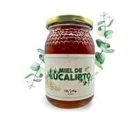 Miel Cruda de Eucalipto 100% Pura - 500gr - Miel Natural Artesanal elaborada por nuestros Apicultores de la Sierra de Espadán en Castellón - Tradición y Legado de nuestra Tierra