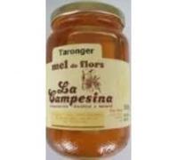Miel de Azahar | Formato 1kg (Pack de 2x500g) | Miel Monofloral Técnica | Insumo de Especificación Estandarizada | Perfil Cítrico