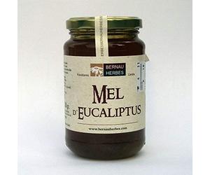 MIEL DE EUCALIPTO 500gr.