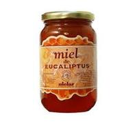 Miel de Eucalipto | Formato 1kg (Pack de 2x500g) | Miel Monofloral | Perfil Aromático Balsámico | Insumo de Alta Densidad