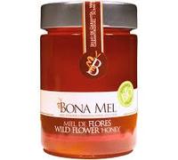 Miel Técnica de Mil Flores (Multifloral) | Formato 1,8kg (Pack de 2x900g) | Insumo de Alta Especificación | Presentación en Tarro de Vidrio (Cristal)