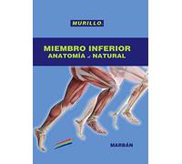 Miembro Inferior Anatom¡a al Natural
