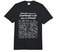 Mientras Tanto, el Gato de Schrodinger planea su Venganza Comfort Colors Adult Heavyweight T-Shirt