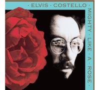 Mighty Like a Rose