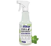 Mighty Mint Eliminador de manchas y olores, spray enzimático natural neutraliza de forma segura el olor y las manchas de perros, gatos en alfombras, muebles, aroma natural de menta, 16 onzas