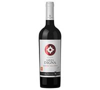 Santa Digna Cabernet Sauvignon, Vino Tinto, 6 botellas de 75 cl - Total: 450 cl