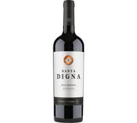 Miguel Torres Chile Santa Digna Carménère 2022 1 x 750 ml