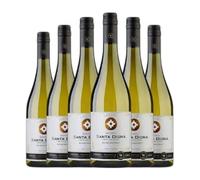 Miguel Torres Sta. Digna Chardonnay Joven 75 cl Vino blanco (Caja de 6 Botellas de 75 cl)