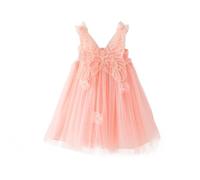 Miipat Vestidos para Bebés Niña Mariposa Tul Sin Mangas Un Niña Pequeña de Princesa Vestido Fiesta de Cumpleaños Boda Flores Niña Vestido Rosa Claro 73 9-12 Meses