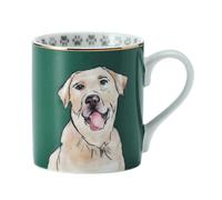 Mikasa taza moderna de porcelana, 280 ml, estampado de labrador, verde