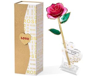 Mikasol Dorado 24K Rosas Que Se Conservan para Siempre, Flores Infinitas InmersióN Manual Un Regalo RomáNtico para Una Mujer En Su Esposa Y Novia CumpleañOs, San ValentíN, Navidad De La Madre (Rosa)
