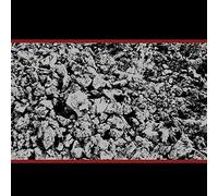 Mike Coykendall - Half Past Present Pending [VINYL] [Vinilo]