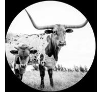 Mike Flanigin – West Texas Blues – Vinilo