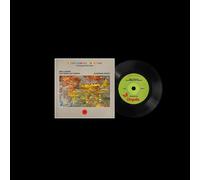 Mike Lindsay feat. Guy G The Endless Coloured Ways: T (Vinyl) (Importación USA)