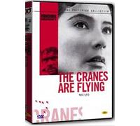 Mikheil Kalatozishvili - Movie DVD - The Cranes Are Flying (Region code : all) (Korea Edition)