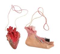 Mikikit 2 Piezas de Colgantes Aterradores de Halloween Órganos Humanos Simulados de PVC Accesorios Decorativos para Casa Embrujada y Fiestas Temáticas Tamaño Pequeño Color Realista