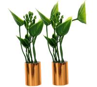 Mikikit 2piezas Miniatura Potted Plant Decoration Doll House Plant Model for Fairy Garden and Home Decor