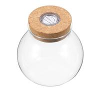 Mikikit Botella de LED con Micropaisaje Acuario Decorativo DIY para Peces Jarrón de Borosilicato Pecera Autolimpiable Decoración del