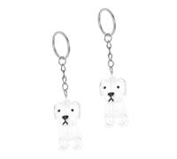 Mikikit Llavero Coleccionista de Pelos de Perro Transparente Caja Conmemorativa Pequeña de Plástico para Guardar Pelo de Mascota 2 Piezas para Recuerdo Sentimental y Uso Bolso o Llaves