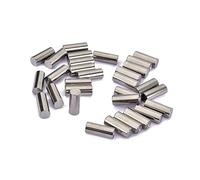 Mikinona 30piezas Núcleo De Pastilla Para Guitarra Eléctrica Paquete De Accessories De Pastilla Slugs De Humbucker De Acero De Repuesto Para Bobina De