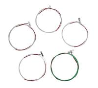 Mikinona Cuerdas de Repuesto para Guzheng Tipo B, Paquete 10 Piezas (6-10 Cuerdas, 2 Unidades de Cada), Accesorio Metálico Duradero para Instrumento Musical, Tensión Estándar,