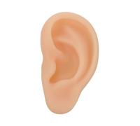 Mikinona Modelo De Oreja De Silicona Simulación Auditiva Para Enseñanza Istinguish y Derecho
