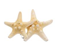 Mikinona Pinzas Cabello Forma de Estrella de Mar de Cinco Puntas, 2 Piezas, Accesorio Estable y Decorativo para Playa y Fiestas, Estilo Mediterráneo Elegante Color Aleatorio