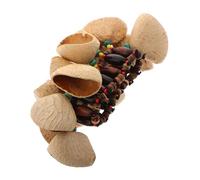 Mikinona Pulsera de Cáscara Natural Artesanal Instrumento de Percusión de Campanillas Accesorios de Percusión Africana para Caminar la Playa