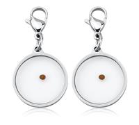 Mikovivi 2 Uds Colgante de Semilla Mostaza Tirador Cremallera, Colgante de Fe con Semilla Mostaza Clip para Cremallera Joyería Religiosa para Hombres y Mujeres Cristianos Accesorio Inspirador Bolsos