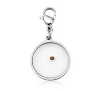 Mikovivi Abalorio de Semilla de Mostaza con Cremallera, Clip de Cremallera Colgante de Acero Inoxidable de Semilla de Mostaza Regalo de Joyería Religiosa Cristiana Inspiradora para Hombres Mujeres