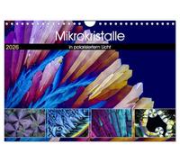 Mikrokristalle in polarisiertem Licht (Wandkalender 2026 DIN A4 quer), CALVENDO Monatskalender: Das Universum der Mikrokristalle