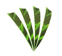 MILAEM 50 Piezas Plumas de Flecha Tiro con Arco 4 Inch Fletches Naturales Fletching para DIY Flechas de Caza Alas derechas (Verde)