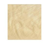 Milageto Absorbente de Toalla para secar Autos, Herramientas para detallado de Autos, Accesorios, Limpieza Exterior, paño Absorbente para secar Autos, 30 Cm X 55 Cm