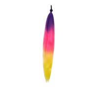 Milageto Cabello de cola de caballo Extensión del cabello Smooth 65 cm Soft bricolaje con la para el cabello para el cumpleaños de Halloween Mujeres, C39
