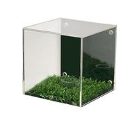 Milageto Estuche de exhibición para Pelotas de Golf, Soporte único Transparente a Prueba de Polvo, Accesorios Multiusos con Base, Caja de Almacenamiento,
