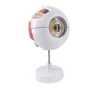 Milageto Modelo de Ojo Humano, Herramienta educativa científica, Estructura Ocular Ligera y Resistente con Base de exhibición Resistente, Modelo Educativo.