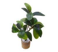 Milageto Planta artificial verde para casa de muñecas en miniatura a escala 1/6, modelo decorativo, accesorios para casa de muñecas a escala 1:6.