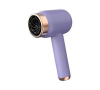 Milageto Secador de pelo portátil potente, secador de pelo inalámbrico profesional compacto de 3 velocidades para pintura artística de salón en casa al aire, PÚRPURA