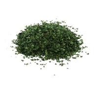 Milageto Simulation Leaves Realistas Miniatura Hojas Diorama Escenografía Modelo 35ML Resina Ornamento Natural Adecuado para Maquetas de Trenes Paisajes de Sol, Primavera Verde