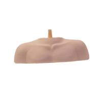 Milageto Soporte de cabeza de maniquí con soporte para hombros, exhibición profesional de cabeza de maniquí de cosmetología para estilismo, peluquería y, Varilla Lisa