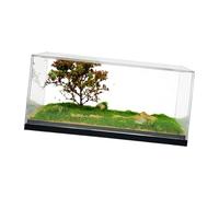 Milageto Vitrina de exhibición de Ruedas fundidas a presión 1/64, Regalo Coleccionable, Bricolaje, Resistente, Decorativa, Transparente, Organizador de