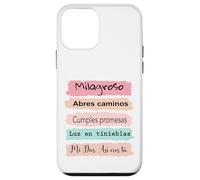 Milagroso, abres Camino. Cumples promesas. Luz en tinieblas. Carcasa para iPhone 12 Mini