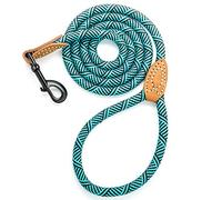 Mile High Life Correa de Cuerda de Perro de Escalada de montaña con Mango de Cuero(152 CM, Verde Turquesa)