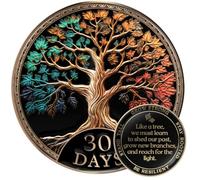 MilestoneMint Juego de regalo de árbol de la vida de 30 días de sobriedad, regalos de sobriedad para hombres y mujeres, monedas AA y medallones con cápsula de fichas, soporte y tarjeta, textura 3D