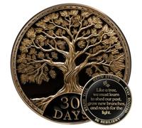 MilestoneMint Juego de regalo de monedas de sobriedad de afirmación | Medallón con chip AA del árbol de la vida con cápsula de fichas, soporte y tarjeta | Regalos de sobriedad para aniversario mes y