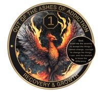 MilestoneMint Phoenix Sobriety Coin | Juego de regalo de medallón con chip AA con cápsula de monedas, soporte de exhibición y tarjeta para hombres y mujeres sobrios en recuperación | Regalos de