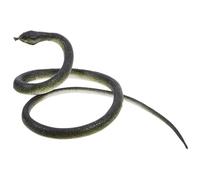 Milisten 1 Juego De Serpientes De Broma Ondulado Todo Simulado Simular De Serpiente Falso Broma De Serpiente para Golf Serpiente Gris De Polivinilo