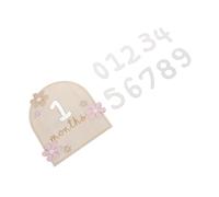 Milisten 1 juego Tarjetas de Mensuales de Madera para Bebés Carteles de para Recién Nacidos Accesorios de Fotografía Natural y Elegante para Showers y de Género